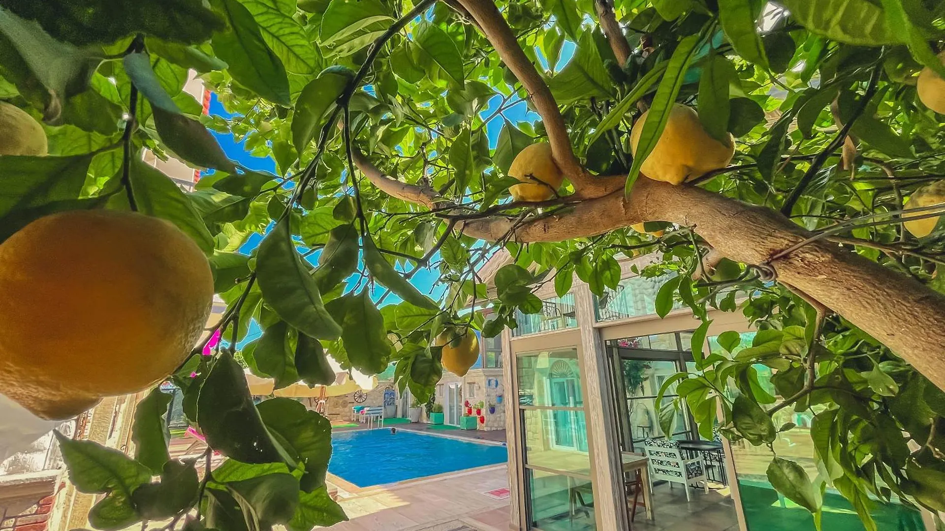 酒店 Ruezgarguelue Otel 阿拉恰特