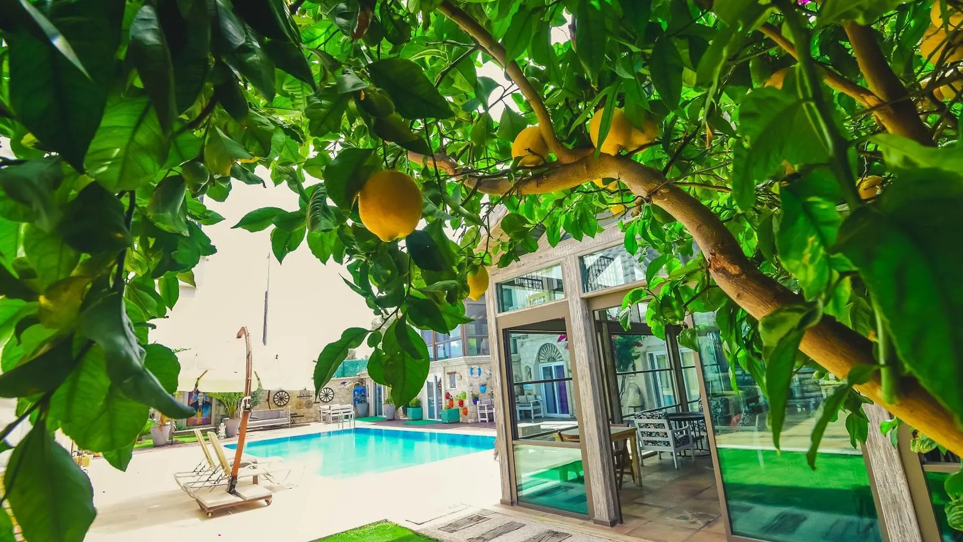 酒店 Ruezgarguelue Otel 阿拉恰特